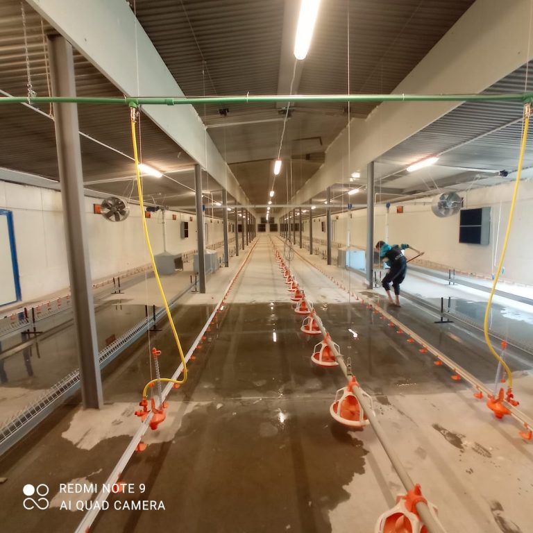 gallery grid image
